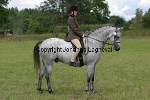 jennifer_hjockhjoing_2151.jpg