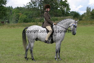 jennifer_hjockhjoing_2152.jpg