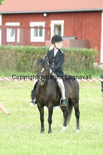karin_ekbackensfia_1918.jpg
