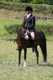 mathilda_moelgarneddmontana_2083.jpg