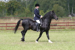 ina_rhencullendannyboy_2012.jpg