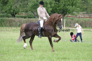 malin_derwenmrt_2055.jpg