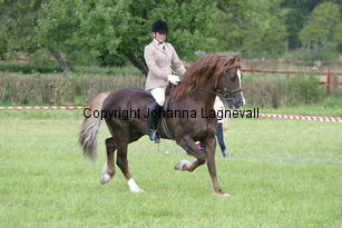 malin_derwenmrt_2056.jpg