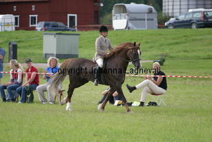 malin_derwenmrt_2085.jpg