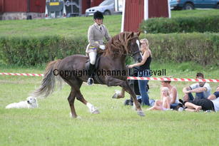 malin_derwenmrt_2088.jpg
