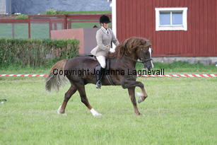 malin_derwenmrt_2107.jpg