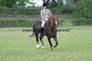 malin_derwenmrt_2111.jpg