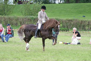malin_derwenmrt_2113.jpg