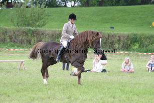 malin_derwenmrt_2114.jpg
