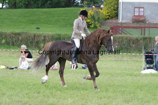 malin_derwenmrt_2115.jpg