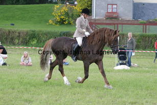 malin_derwenmrt_2116.jpg