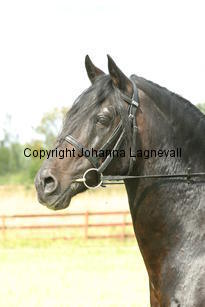 rhencullendannyboy_2004.jpg