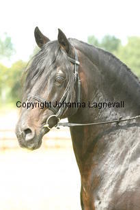 rhencullendannyboy_2006.jpg