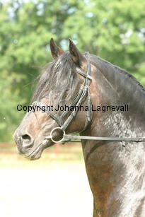 rhencullendannyboy_2007.jpg