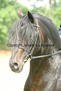 rhencullendannyboy_2008.jpg