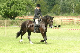 cecilia_burhultsblackseren_1974.jpg