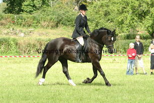 cecilia_burhultsblackseren_1992.jpg