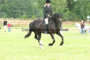 cecilia_burhultsblackseren_1993.jpg