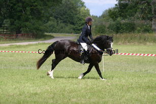 malin_cwmtynantsanteseiddwen_2124.jpg