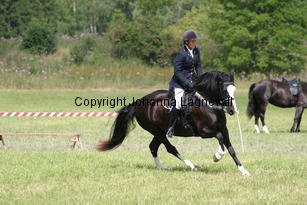 malin_cwmtynantsanteseiddwen_2126.jpg